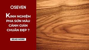 KINH NGHIỆM PHA SƠN MÀU CÁNH GIÁN CHUẨN ĐẸP